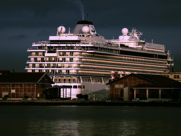 Quels sont les meilleurs spots pour une plongée avec les requins-baleines au Mexique?