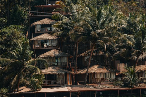 Quels sont les conseils pour un camping en toute sécurité dans les zones à forte densité de serpents?